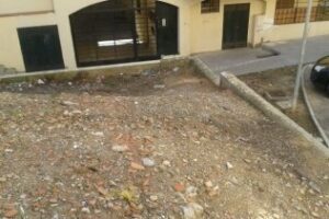 UPyD de Algeciras denuncia el abandono del paseo Juan Pérez Arriete