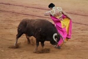 Yo reportero ¿Manzanares, El Fandi, Padilla, Talavante y Ponce en Las Palomas?