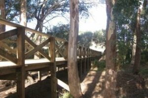 La conexión Puerta Verde de Algeciras-Los Barrios en el Parlamento Andaluz