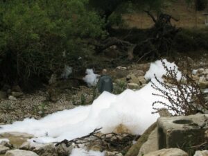 La colaboración ciudadana permite detectar un vertido tóxico del Complejo Medioambiental