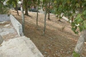 El PA denuncia las carencias de la barriada de Los Pastores