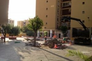 Parques y Jardines realiza trabajos de remodelación en Parque Bolonia