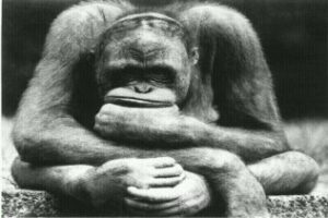 ¿Qué hacer este finde ? Propuestas GETOUT.es para la comarca