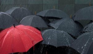 El tiempo en la comarca este fin de semana