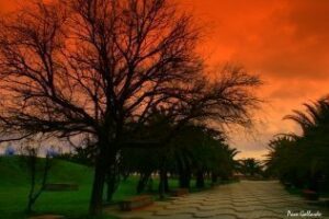 El tiempo esta semana en el Campo de Gibraltar