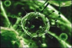 El I Encuentro de Profesionales de la Salud en el marco del sida este viernes en Algeciras