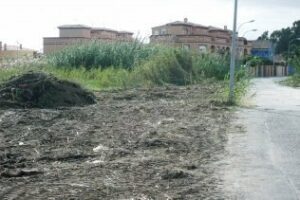 Limpieza actúa sobre varios puntos de El Rinconcillo