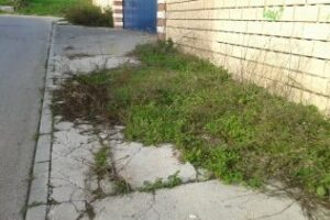 Los andalucistas denuncian el estado del Polígono Las Pilas