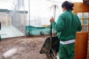 La atención a familiares de menores infractores, mañana en el Aula Abierta