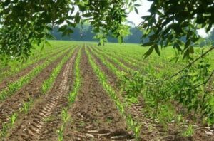 Las ayudas del Ministenio de Agricultura permiten 33 cursos para profesionales agloalimentarios de la provincia