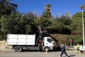 Acción Ciudadana Algeciras pide un mejor mantenimiento de zonas verdes