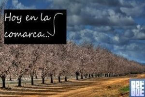 Gratiferia, talleres creativos , y exposiciones hoy en la comarca