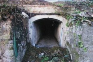 Cultura estudia el Túnel descubierto cerca del Paseo de la Conferencia