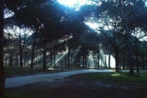 El próximo 2 de octubre días de ondas y campo