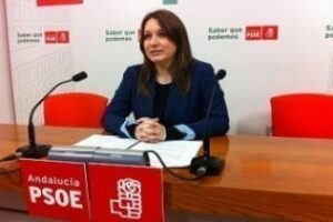Armario "El PSOE siempre estará abierto al diálogo, pero no participará en circos ni aceptará imposiciones"