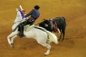 Algeciras reduce su feria taurina