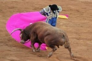 Yo reportero: La Ocasión perdida de blindar los toros en Algeciras (I)