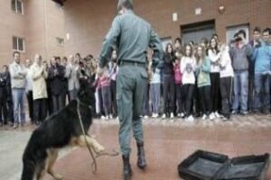 La comisión Provincial del 3er plan para la convivencia y mejora de la seguridad escolar se constituirá mañana