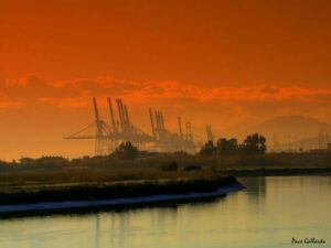 El puerto roza los dos millones de teus hasta mayo y un tráfico total de 40,8 millones de toneladas