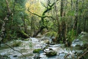 El Plan de Desarrollo de Los Alcornocalesw tendrá una inversión de 46 millones en tres años