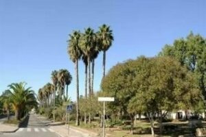 Organizaciones sindicales y sociales muestran su indignación por el rechazo de PSOE barreño al centro de enfermos mentales