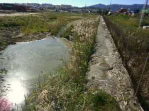 Agaden se reafirma en su petición de dimisión de la concejala delegada de Emalgesa Eva Pajares