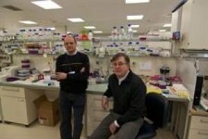 Consiguen frenar la metástasis del cáncer de colon