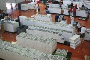 Las lonjas comercializaron en 2012 unos 38 millones de kilos de pescado por valor de casi 124 millones