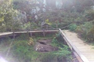 Descubre los secretos de Los Barrios para celebrar el día del padre con picnic incluido