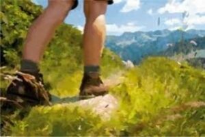 Medio Ambiente oferta nuevas actividades para junio en los espacios protegidos andaluces