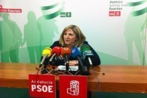 El PSOE pide al PP que recurra a los mil millones de fondos europeos para la Algeciras Bobadilla