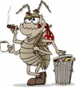 Absurdas: A punto de perder la vida al luchar contra las cucarachas