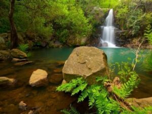 Los manantiales de Las Corzas y la Garganta del Capitán dejarán de surtir de agua a Algeciras