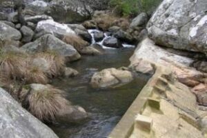EQUO Algeciras aplaude la decisión de la Junta al dar caducidad a la sobreexplotación del arroyo de Las Corzas