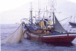 PSOE recuerda que existen ayudas en pesca