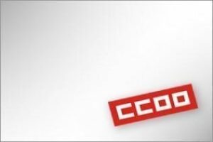 CCOO duda" que el Paidi" pueda cumplir los objetivos