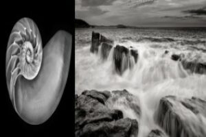 Taller "Blanco y negro digital"