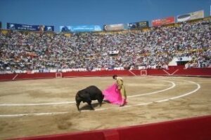 La Feria Taurina no debería ser censurable. Por Crescencio Torés