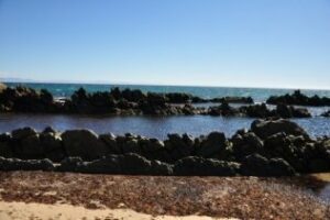 Rutarifa llevará a niños y mayores a las piscinas naturales de Bolonia