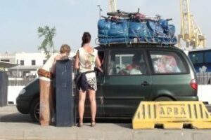 Sensibilidad con el mundo salvaje