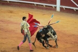 Manzanares abre la Puerta Grande en el cierre de la Feria Real de Algeciras