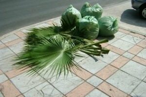 Hoy lunes se cierra al tráfico la carretera de Los Yanquis por desbroce