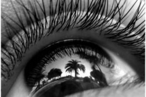 Mirar más de cerca.Por: Ángel Luis Jiménez.