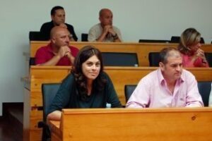 El PA exige una auditoría integral en Arcgisa que aclare su gestión y dé transparencia al ciudadano