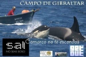 Ganadores de los avistamientos de Orcas del concurso "Comarca no te escondas"