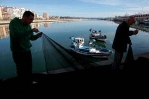 La descarga de pesca fresca en la Bahía de Algeciras cae un 1,66 por ciento hasta octubre