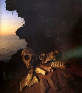 De Gorham a Atapuerca...