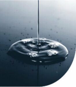 Agaden denuncia a un barco por hacer "bunkering" en el Estrecho