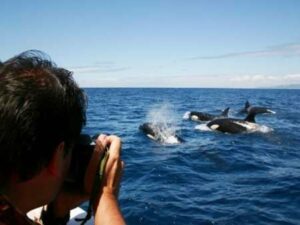 Andalucía prevé el mejor verano de su historia
