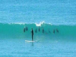 Estudian las corrientes del Estrecho para actuar contra los contaminantes